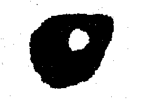 A simulation of the Ising model using the Metropolis Algorithm, Starting below T_c and finishing above it